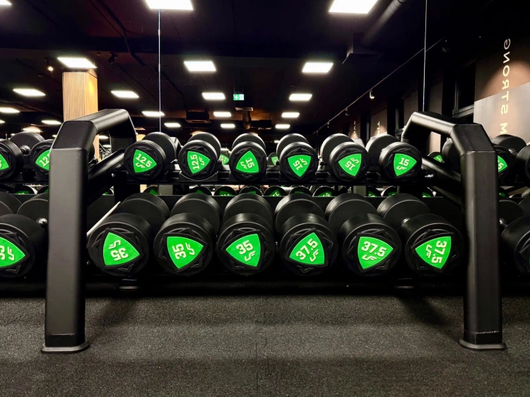 Dumbbell rack (15 pairs) UR-S003-3 - UpForm