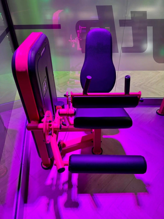 Máquina de extensión de cuádriceps para piernas US-U009 - UpForm