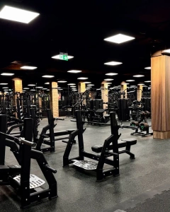 UR-L002 Olympijská lavica na bench press rovná - UpForm