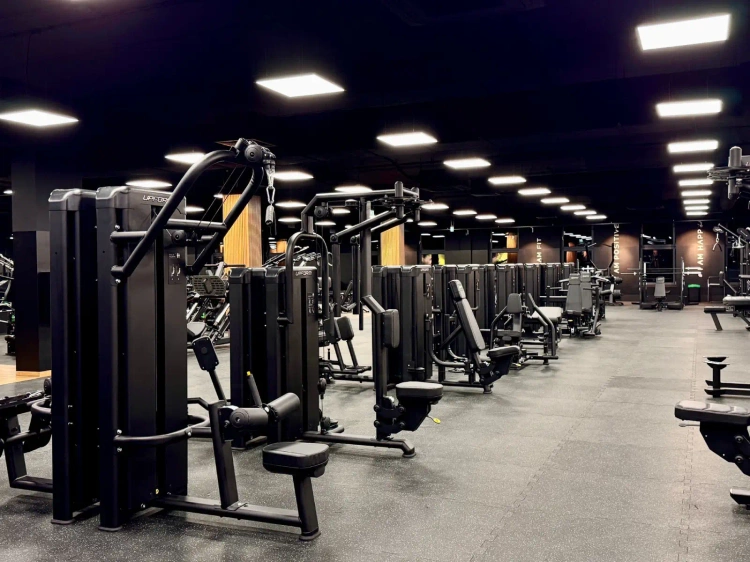 Dual Lat Pulldown UR-U018 – UpForm