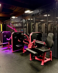 Machine Leg Curl Ischio-Jambiers US-U010 - UpForm